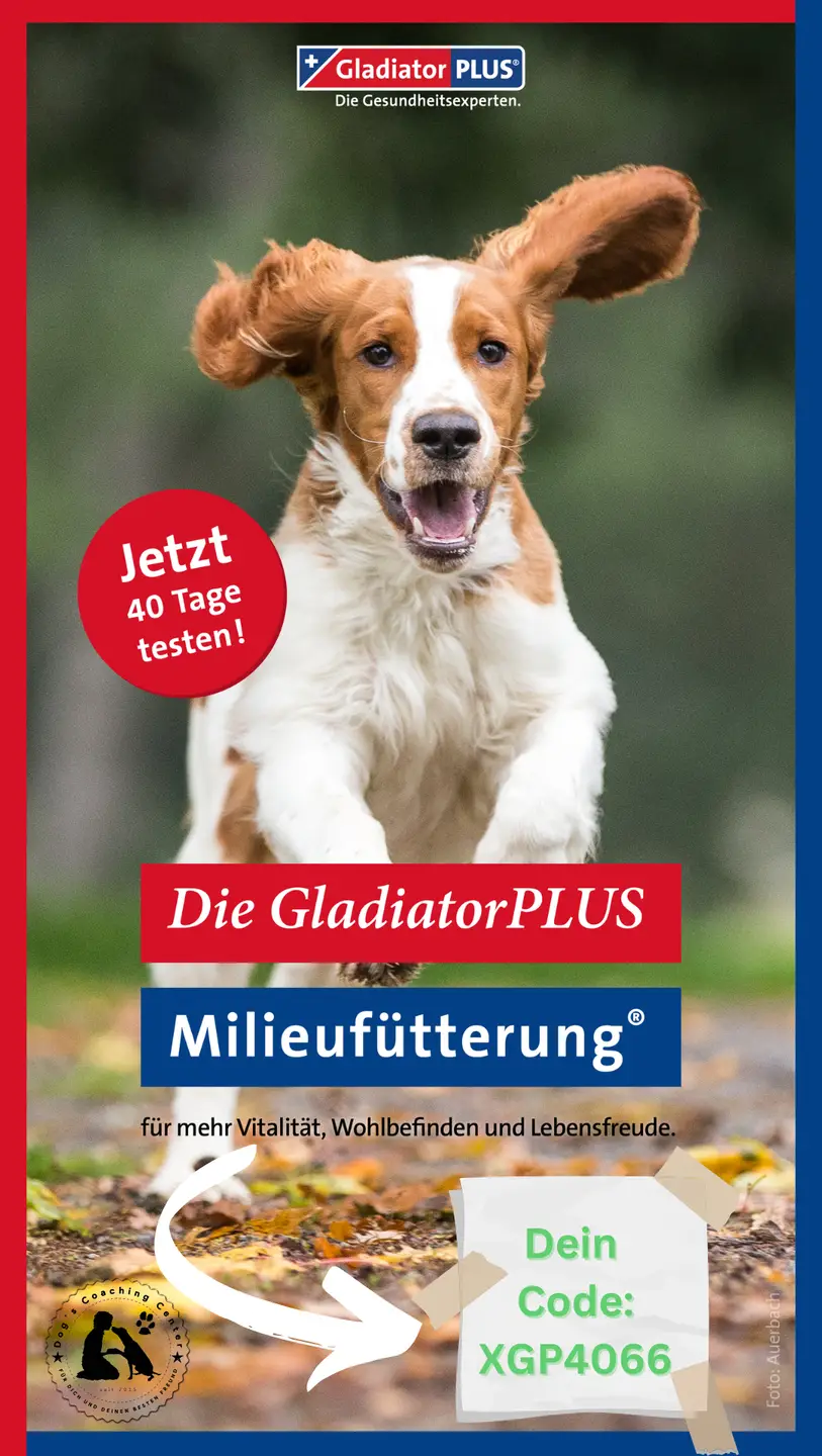 Potraifoto mit rennendem Hund, Text Gladiatorplus, Die Gesundheitsexperten, JETZT 40 Tage testen, Die GladiatorPlus Milieufütterung, für mehr Vitalität, Wohlbefinden und Lebensfreude, Dein RABATTCODE XGP4066