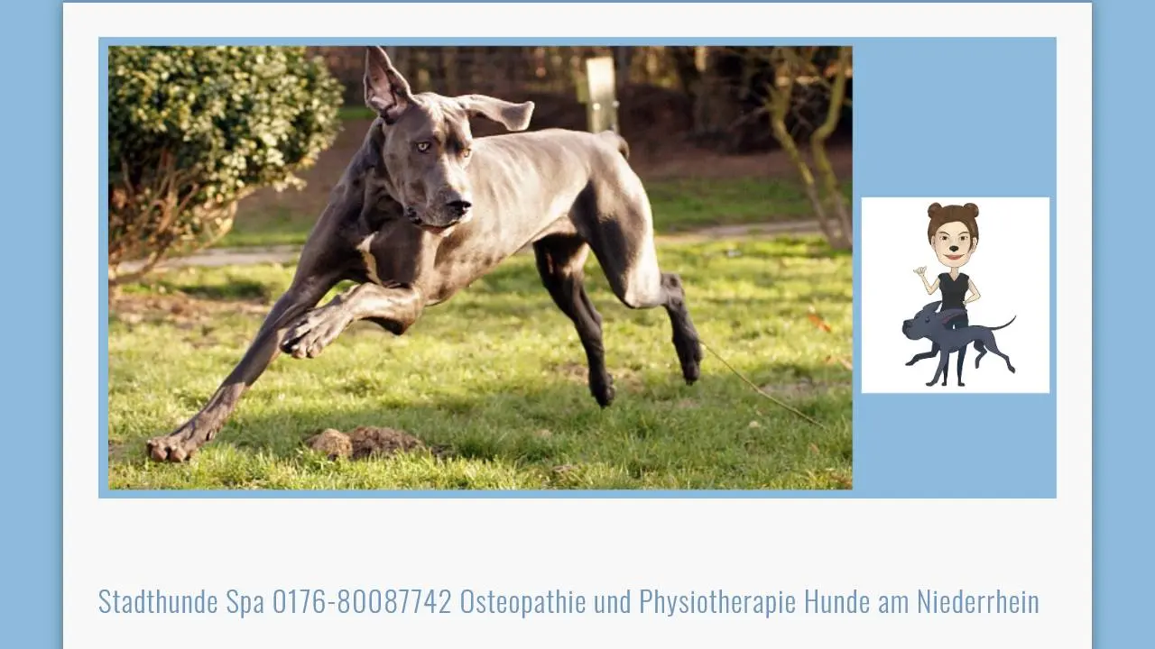 Screenshot Link zu "Physiotherapie für Hunde, Andrea "