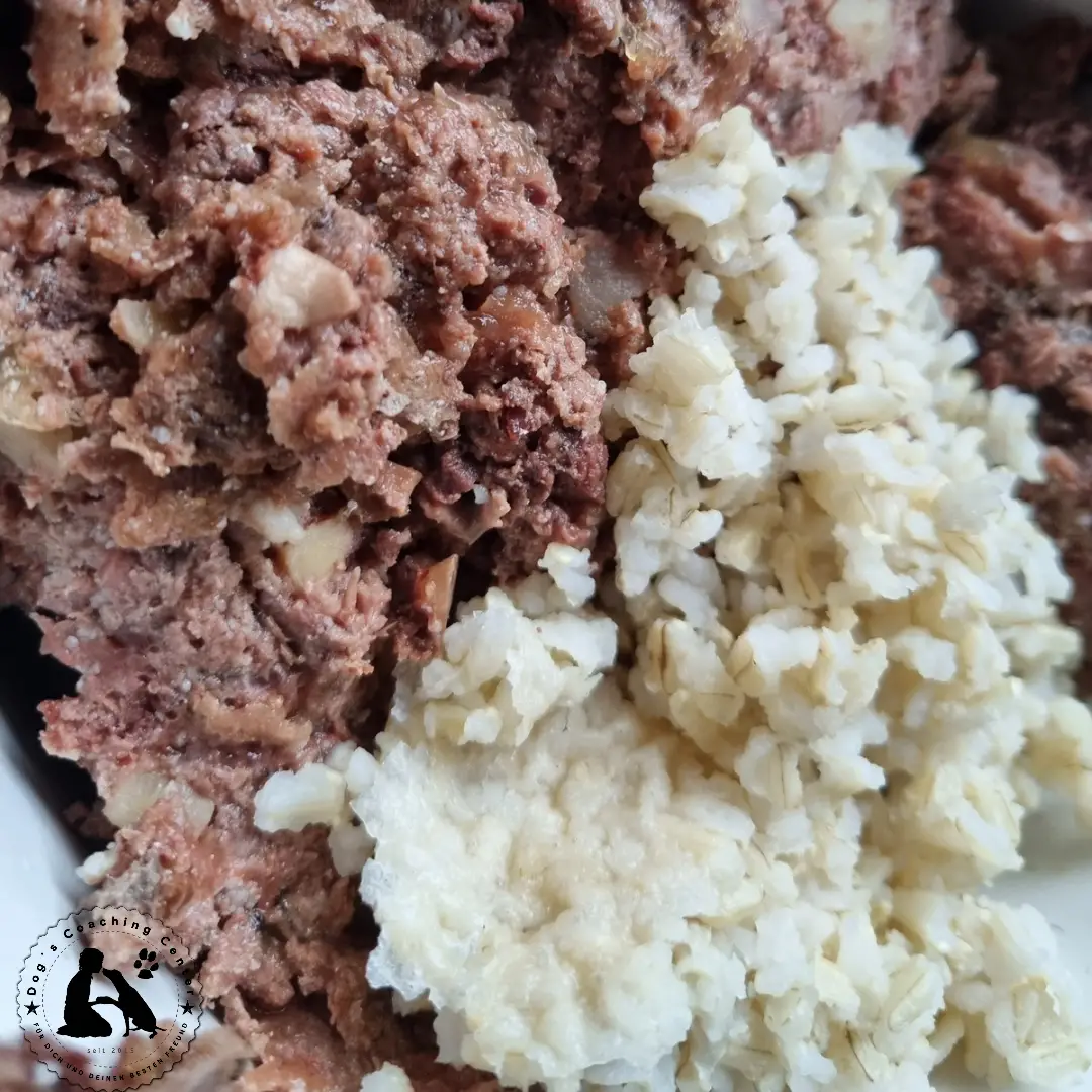 Schonkost, Fleisch und Reis im Napf