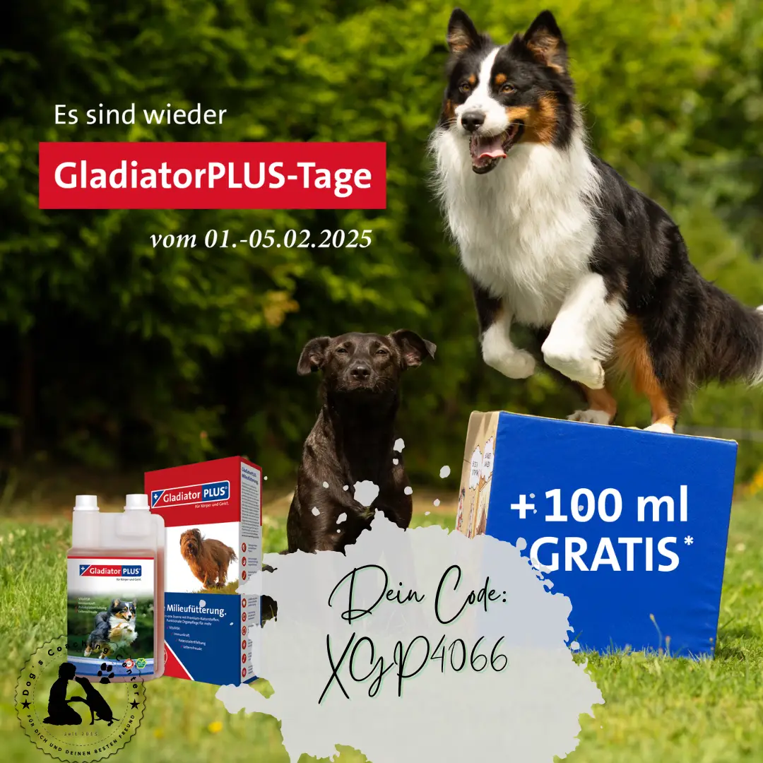 Wiese und Bäume, davor 2 Hunde, einer springt, der andere sitzt und schaut in die Kamera. Darüber dr text, dass es wieder GladiatorPLUS-tage gibt. Darunter einige Artikel, die man im Shop erwerben kann