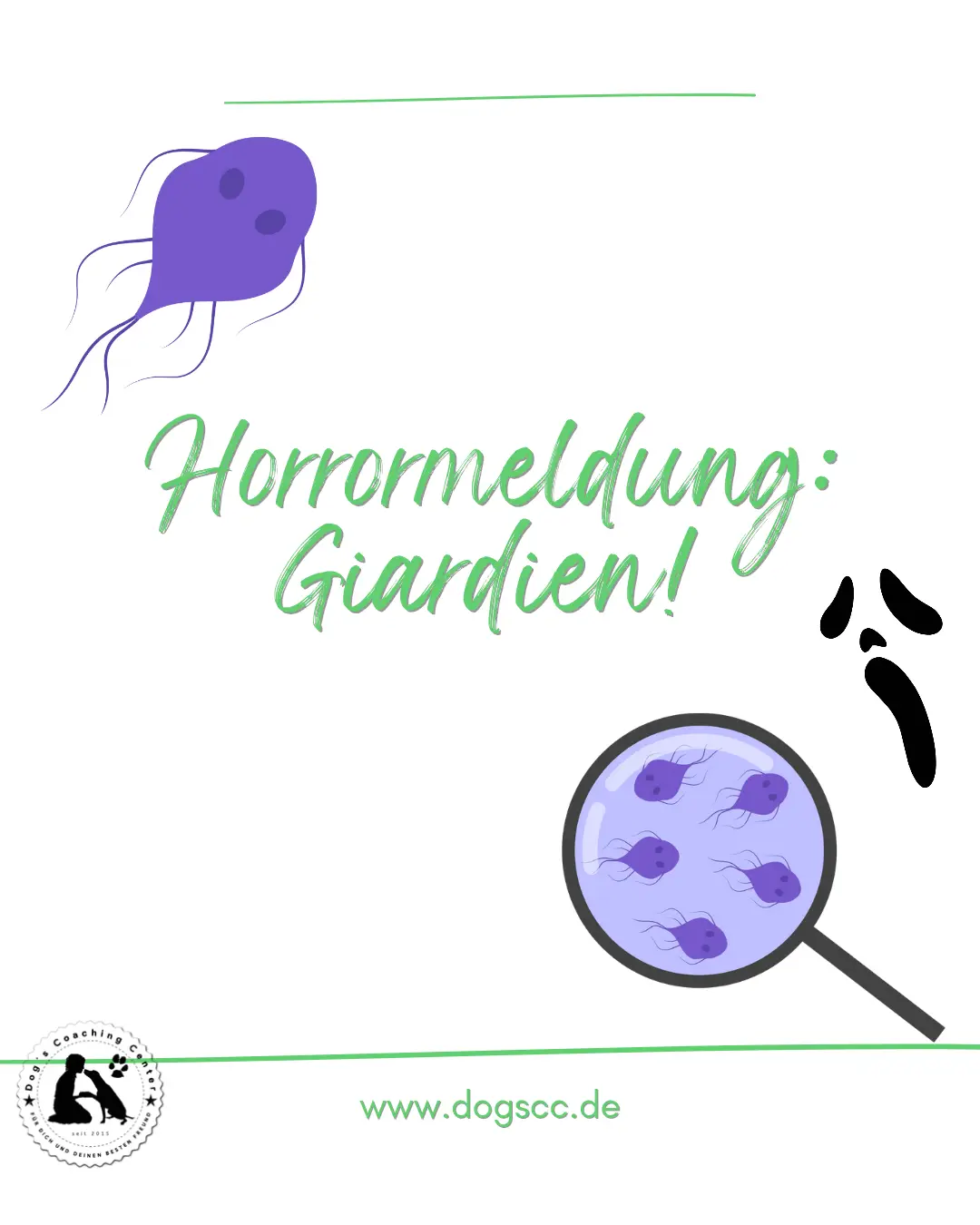 Horrormeldung: Giardien! Horrormeldung: Giardien!