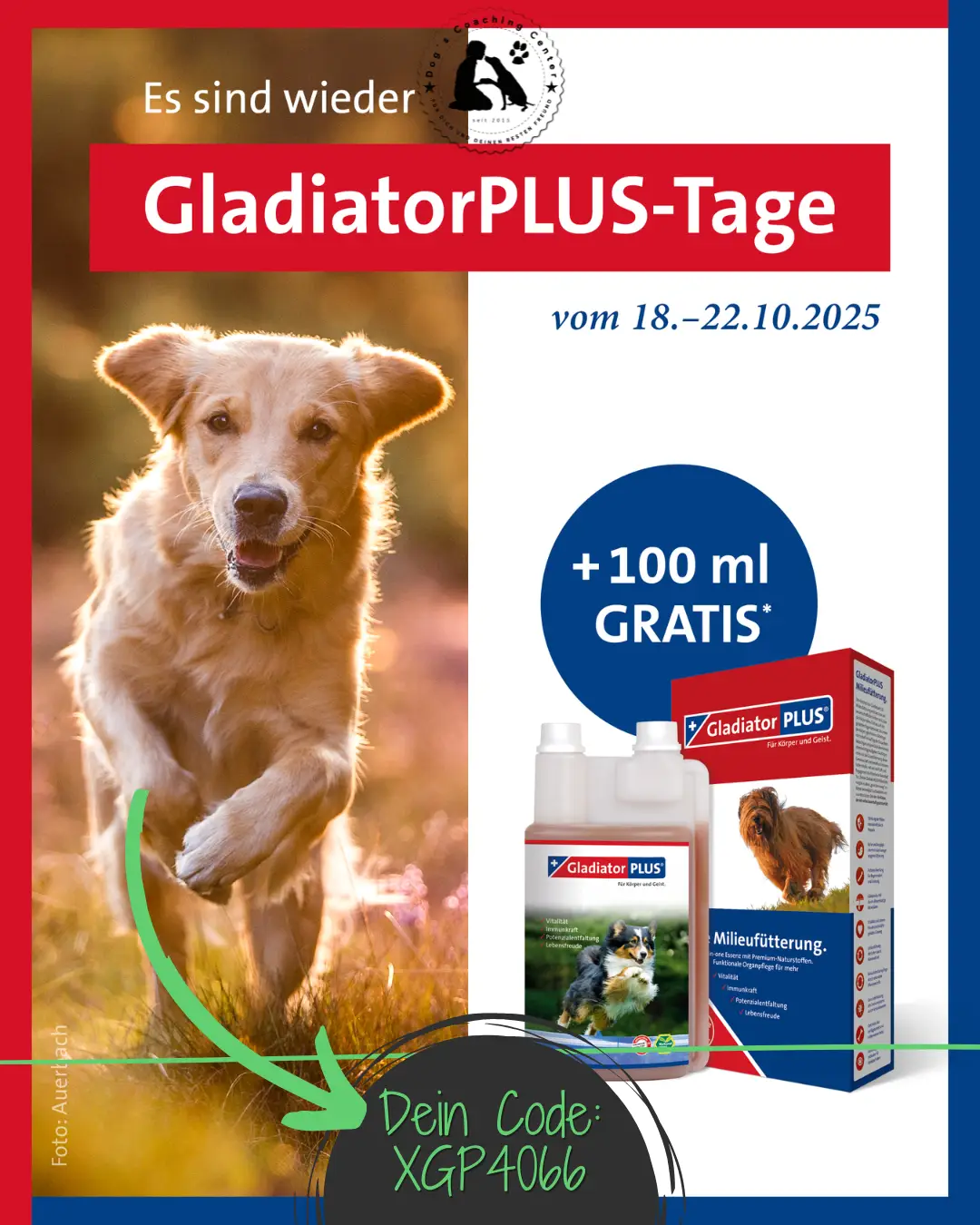 rotblauer Rahmen, links ein Bild mit einem laufenden Hund auf einer Wiese, rechts weißer Hintergrund mit Infos zu den GladiatorPLUS-Tagen, Banner GladiatorPLUS-Tage, Datum vom 18.-22.10.2025, darunter die Abbidung des angebotenen Produkts, im Kopf das DCC-Logo, unten der Code für Franzis Shop