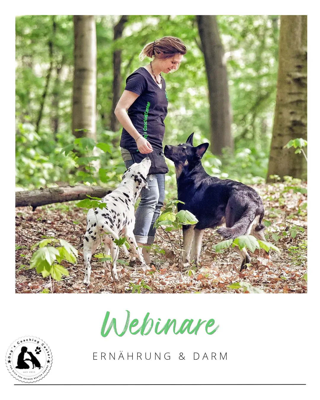 Ein Foto von DCC Gründerin mit ihren 2 Hunden im Wald, darunter Text Webinare, Ernährung und Darm und das DCC Logo