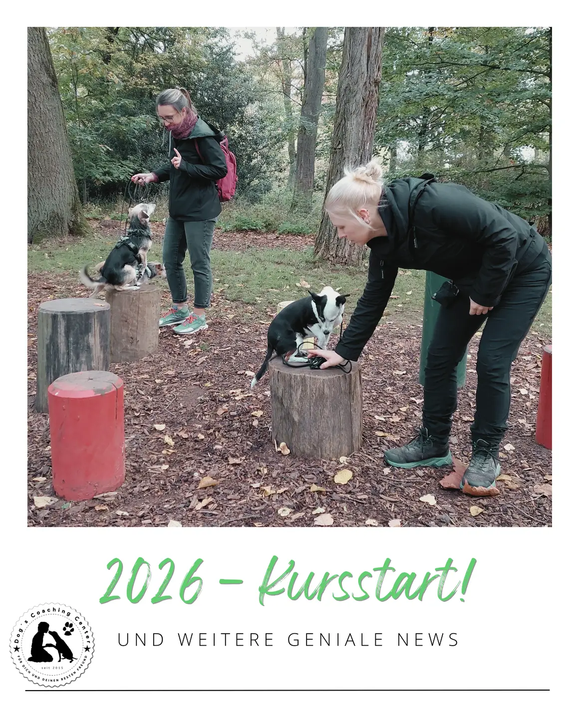 11.12.2025: Newsbeitrag - Neue Kurse 2026 - JETZT ANMELDEN! grauweißer Hintergrund, oben ein Foto von 2 Kursteilnehmern, die ihre Hunde trainieren, darunter Schriftzug 2026 - Kursstart! und weitere Genilae News, Logo DCC